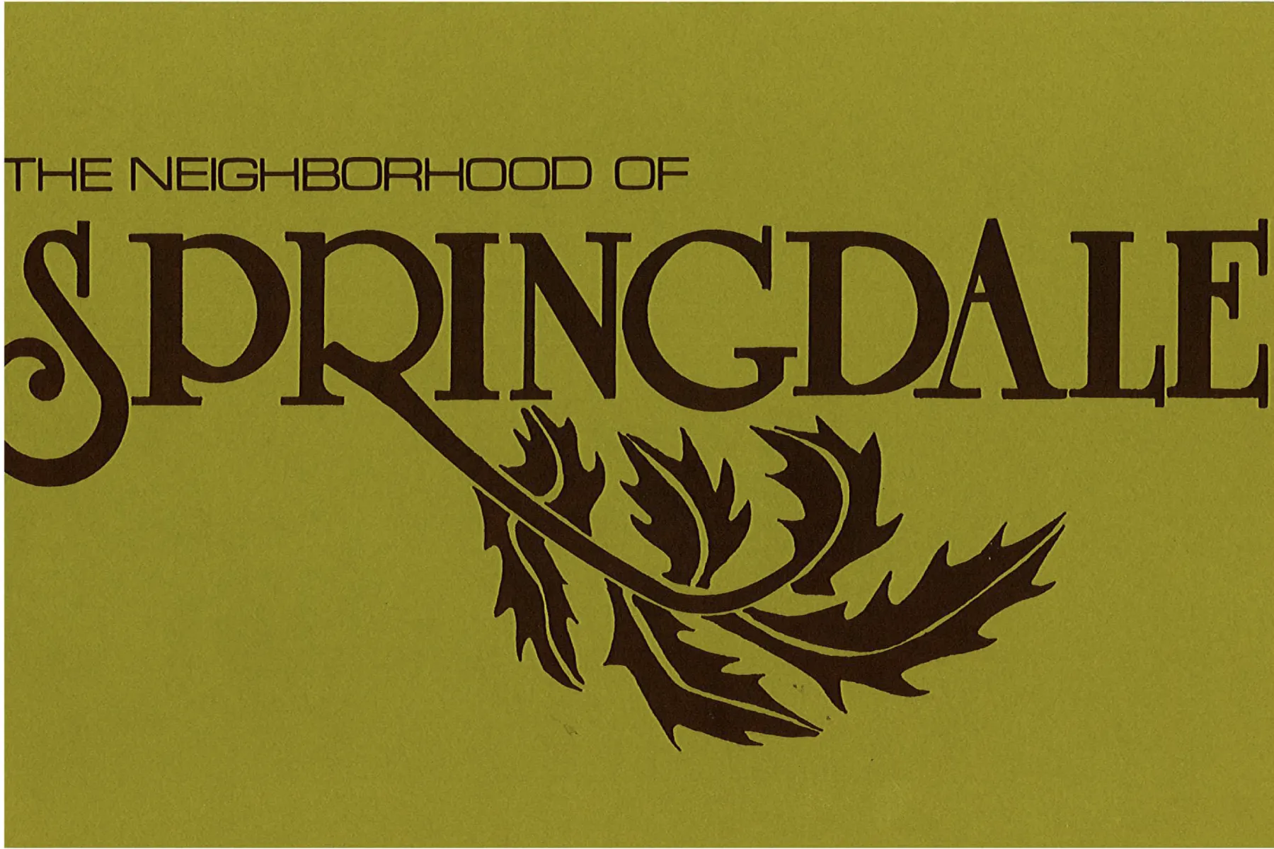 The olive-green cover of The Neighborhood of Springdale, with the Springdale wordmark and a leafy sprig
